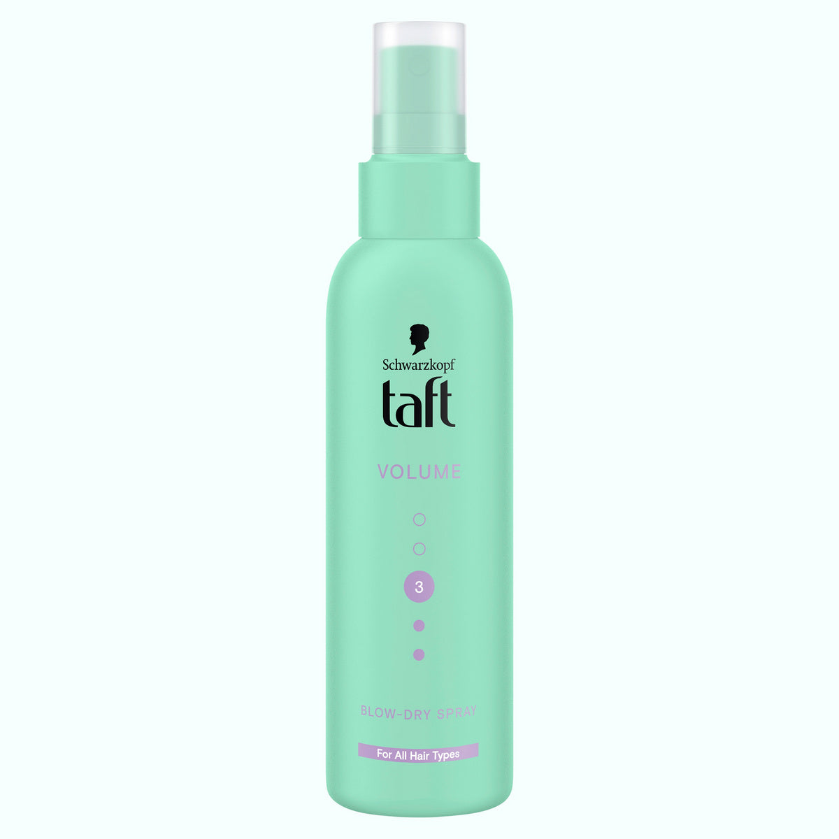 TAFT Volume Blow Dry Spray stiliaus formavimui džiovinant 150 ml