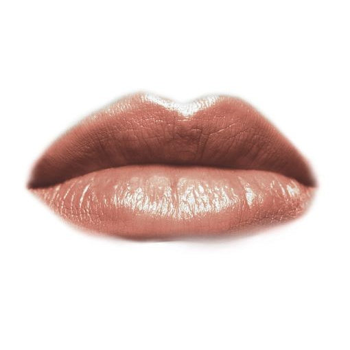 EVELINE Aqua Platinum Lūpų dažai su C ir E vitaminais Nr. 478