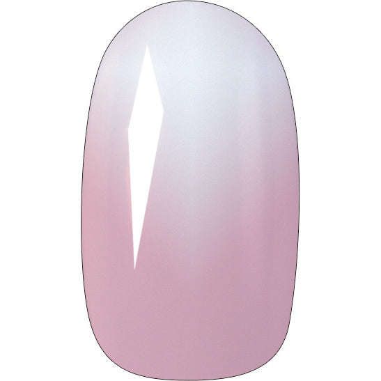 TOP CHOICE Dirbtiniai nagai ombre ovalūs