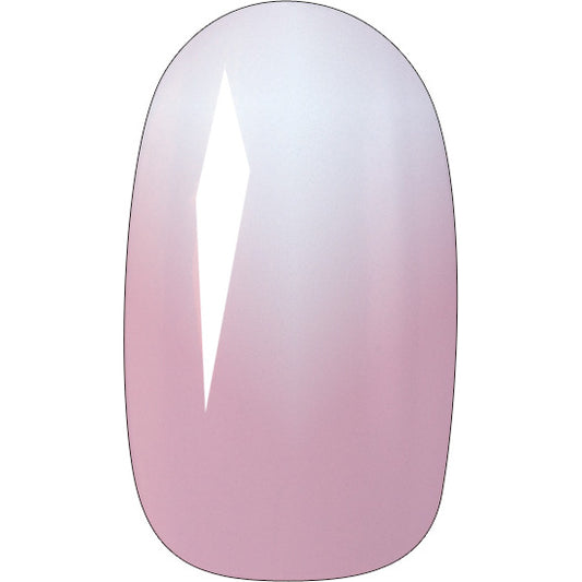 TOP CHOICE Dirbtiniai nagai ombre ovalūs