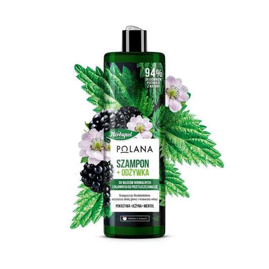 HERBAPOL Polana Šampūnas ir kondicionierius plaukams 2in1 - Gervuogė & Dilgėlė & Mentolis 400ml